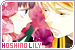  Hoshino Lily